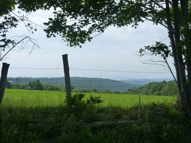 View  Southeast from Limestone Mountain toward St. George.