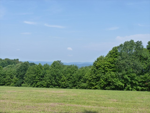 Looking Southwest from Limestone Mt.