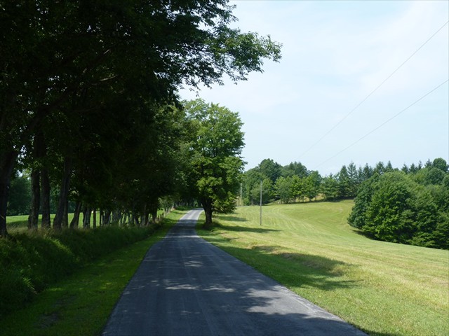 Looking down Limestone Mt. Road.
