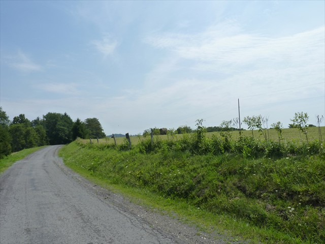 Limestone Mt. Road follows County Rt. 3 and 1.  