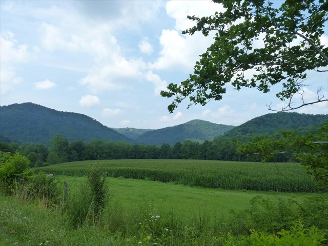 Heading back along the Cheat River Valley toward St. George.<br/>