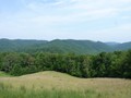 Looking West across to Limestone Mountain.  Ride comes back across the mountain from right to left.