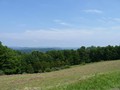 Limestone Mt. Road