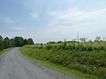Limestone Mt. Road follows County Rt. 3 and 1.  