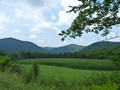 Heading back along the Cheat River Valley toward St. George.<br/>
