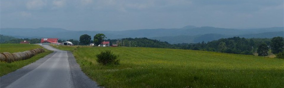 Shanklins Ferry Rd