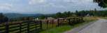 Orchard Road, Co. 33