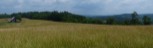 Orchard Road, Co. 33