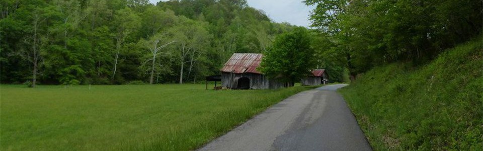 Dog Fork Road