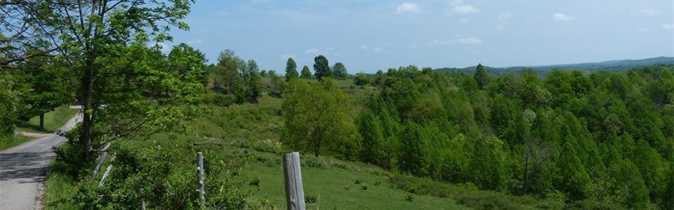Jim Ridge nearng Pleasant Valley.