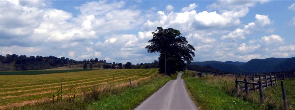 County 31/9