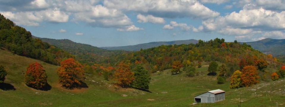 Looking back toward Lobelia