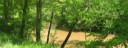 Mud River