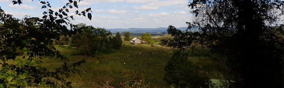 Looking East from hill above Sinks Grove.