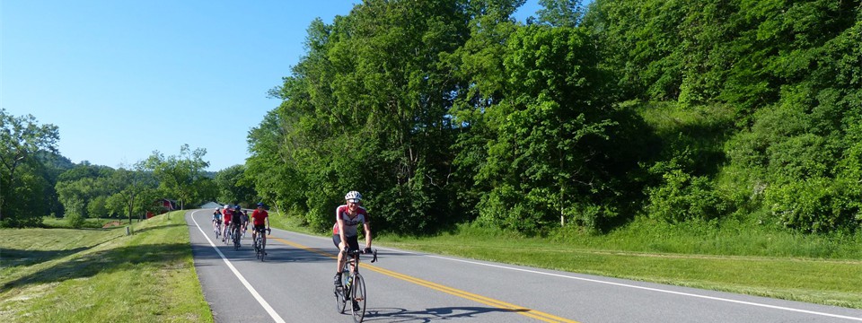 Route 21