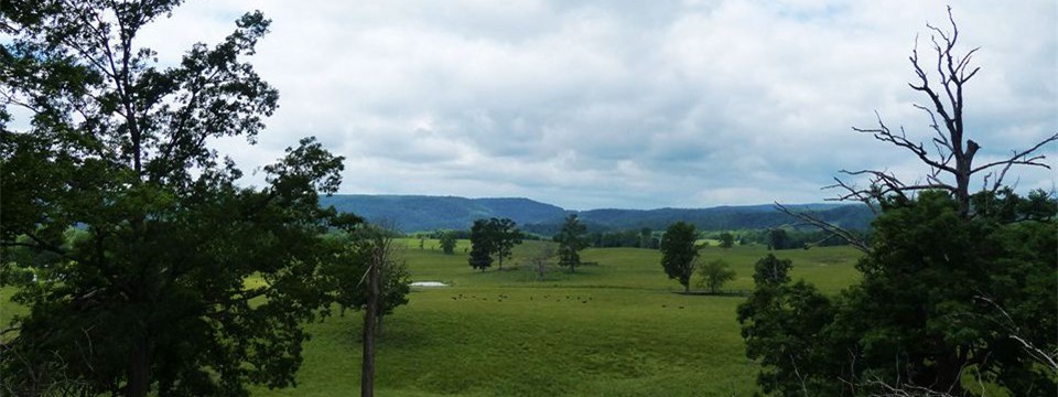 Sydenstricker Road